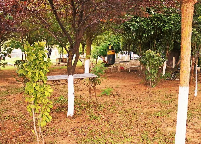 Club Grand Becassier *